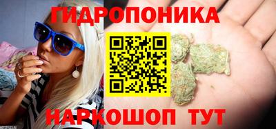 молекула духа Можга