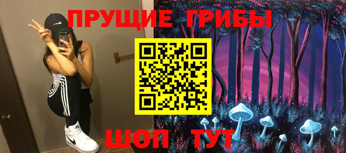 Псилоцибиновые грибы Psilocybine cubensis Тверь